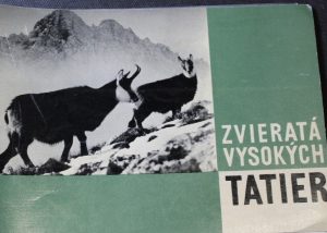 Zvieratá Vysokých Tatier