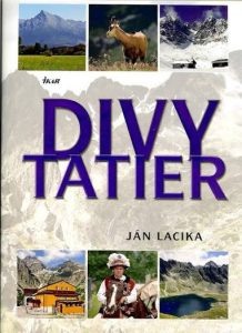 Divy Tatier