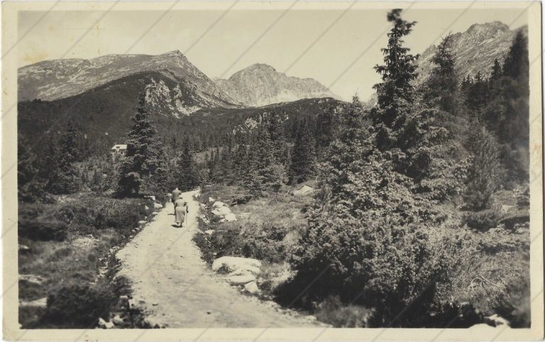 Cesta k chate pri Krivánskom plese (Grafo Čuda Holice; cca 1940)