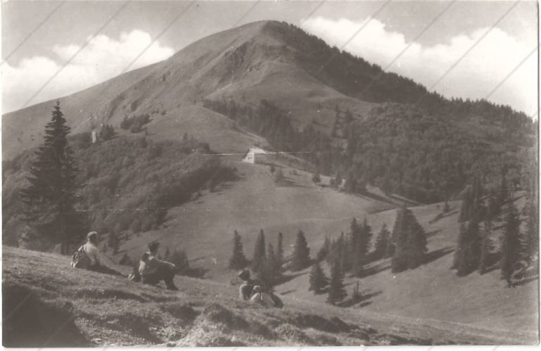 Chata pod Borišovom (1957) – Tvar