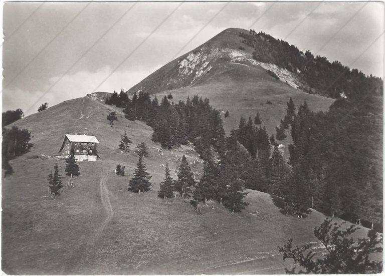 Chata pod Borišovom (1958) – Osveta