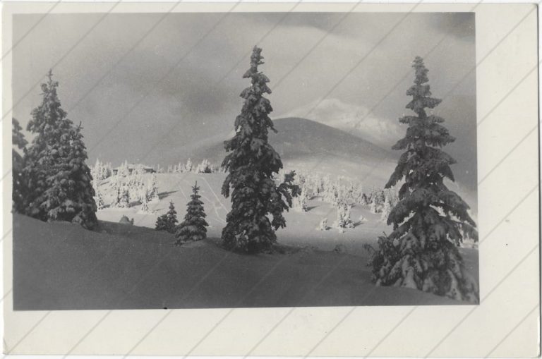 Chata pod Chlebom (1946; Slovakotour)