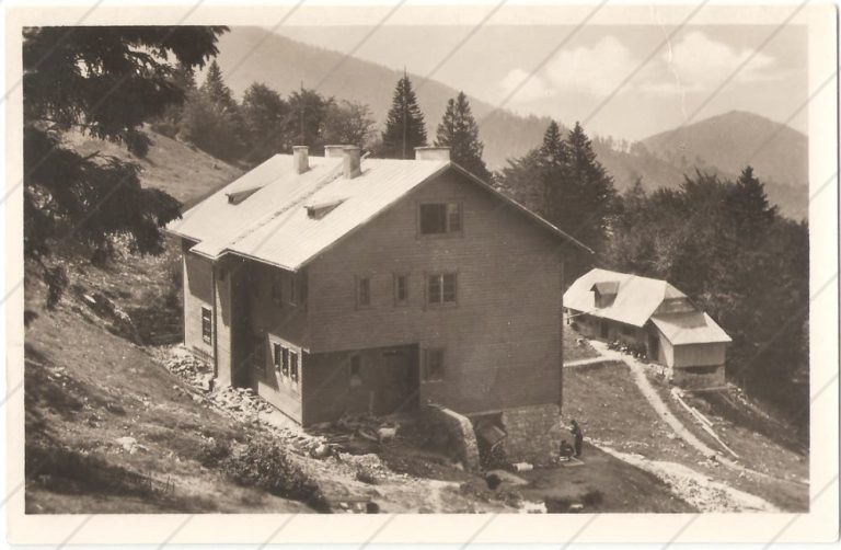 Chata pod Suchým (1954) – Tvar