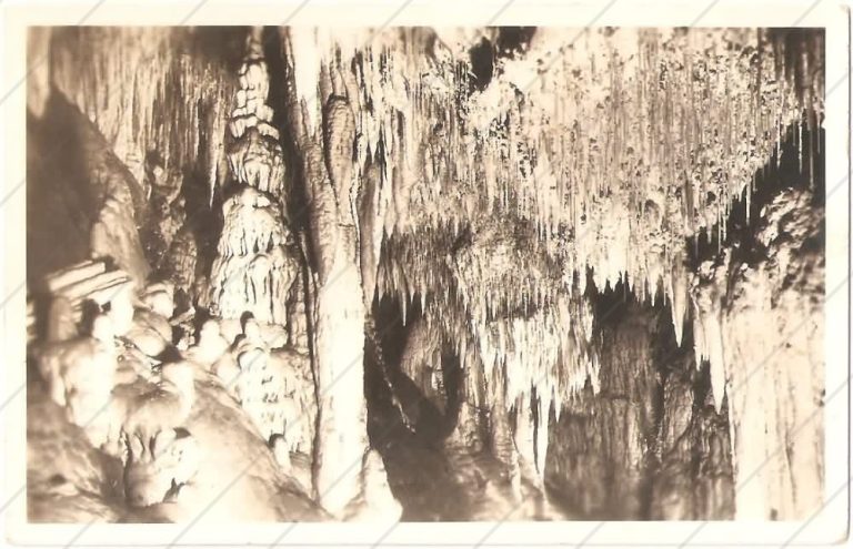 Demänovské jaskyne, Detail Sieni Dra Beneša (cca 1950) – Družstvo Demänovských jaskýň