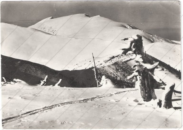 Ďumbier a Rovienok, 1954 – Tvar