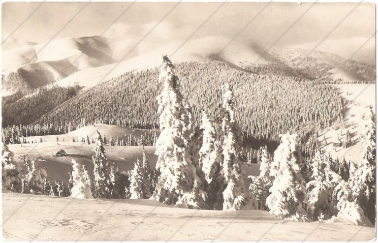 Ďumbier z Čertovice – Tatran – cca 1950