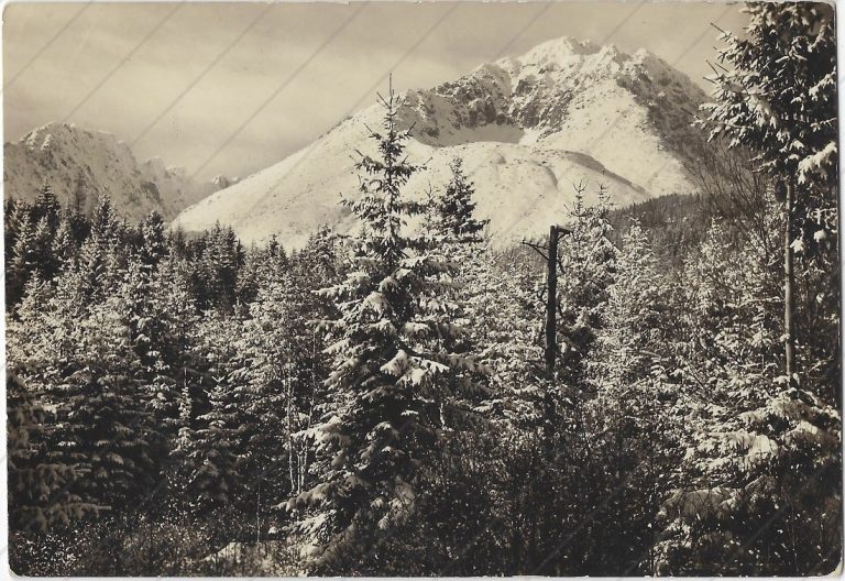 Gerlach (Tatran; 1949-50)