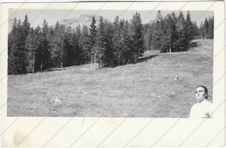 Hrebienok (1963)