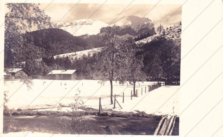 Javorina (1933) – Walsa Štefan – Bruntál