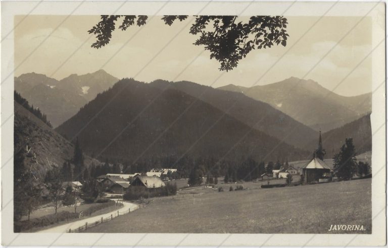 Javorina (1934; Sálus)