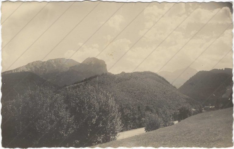 Javorina (1947, Koštial)