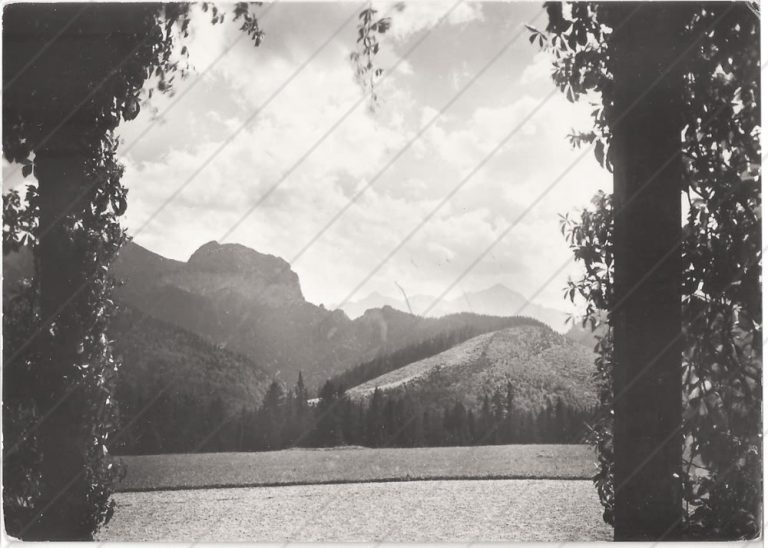 Javorina (pohľad z poľovníckeho zámku), cca 1962 – Osveta