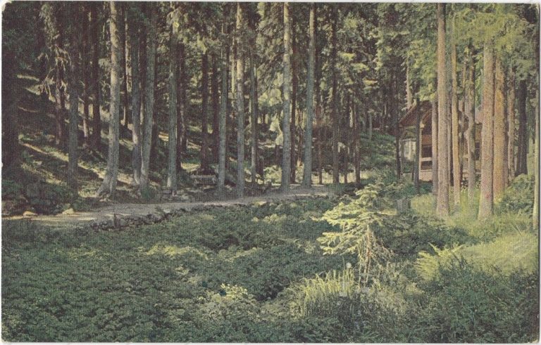 Kacvinského útulňa (1921; Chytil)