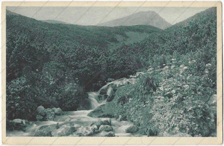 Kriváň a Zlomiskový potok v popredí (1921) – Chytil