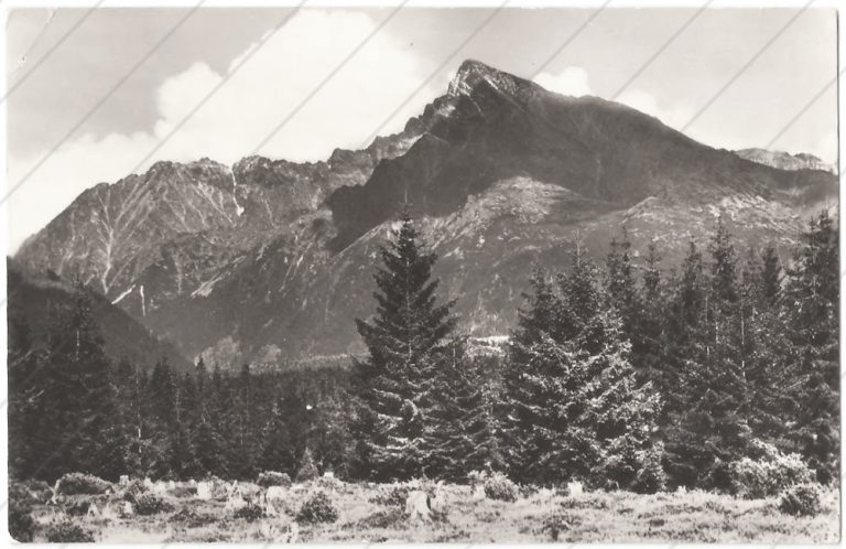Kriváň – Tatran – cca 1950