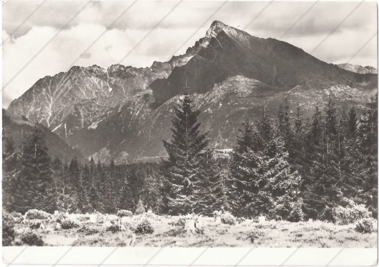 Kriváň – Tatran – cca 1958