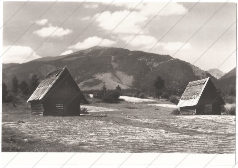 Liptovské Hole – Tatran – cca 1955