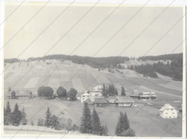 Lysá Poľana (1971) a