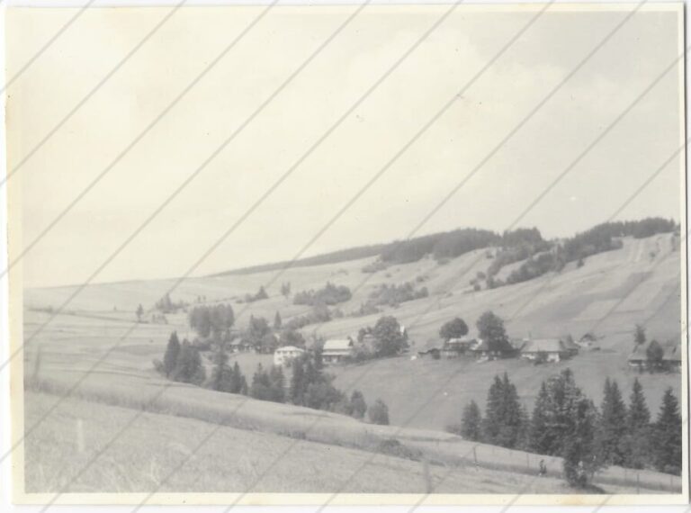 Lysá Poľana (r. 1971) a