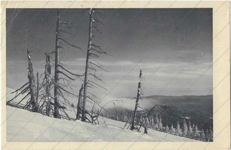 Martinské hole (Slovakotour; 1948)