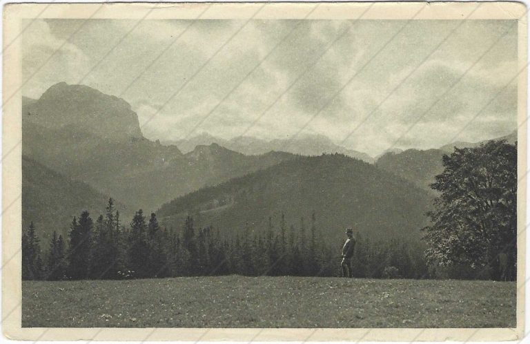 Muráň z Javoriny (1921) – Chytil