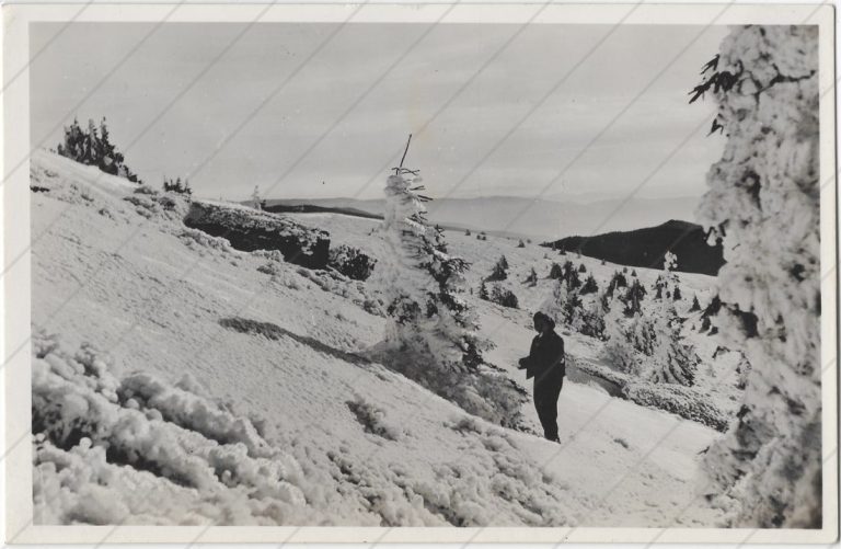 Na svahu Skaliska, Volovské vrchy (cca 1930-38; Dr. Sárai Imre Bp)