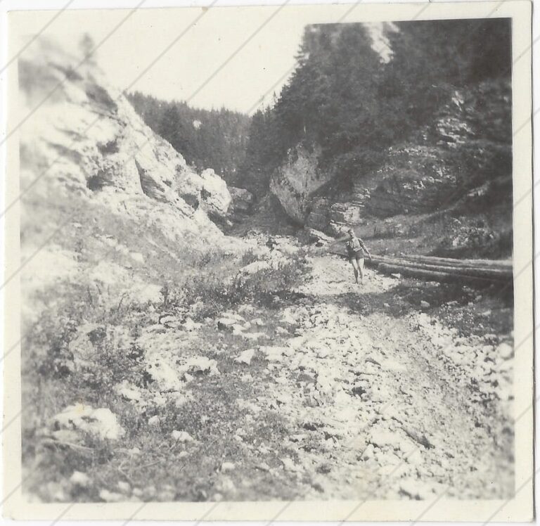 Nízke Tatry (1955, c)