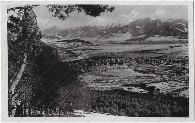 Panoráma Žiliny a Malej Fatry – Biel, kníhkupectvo, Žilina