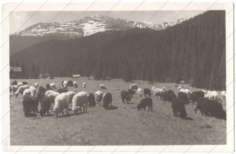 Pod Chopkom – Družstvo Demänovských jaskýň (cca 1950)