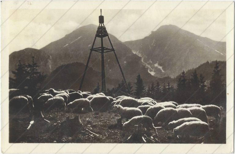 Pod Ždiarskými vidlami (1949; RCR) a