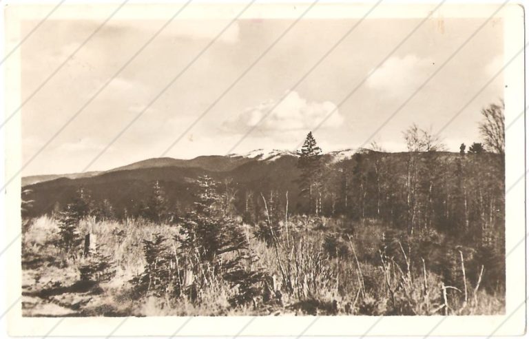 Pohľad na Kojšovskú holu (1949) – RCR – Riaditeľstvo pre cestovných ruch