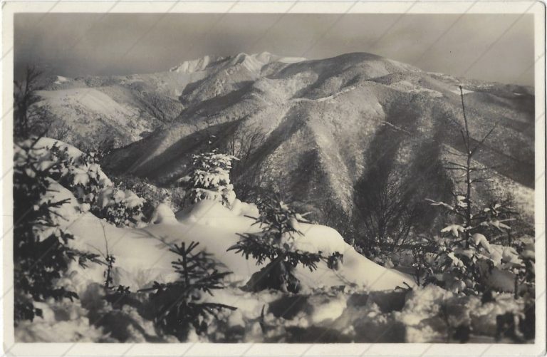 Pohľad na MF z Minčolu (1919-30; Kriváň)