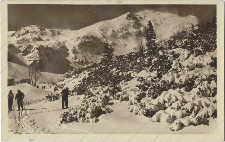 Predné Zelené, Roháče (1949-50, Tvar)