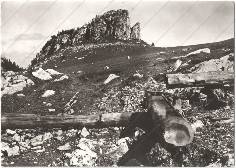 Smrekovica pri Kráľovej studni (1955) – Tvar