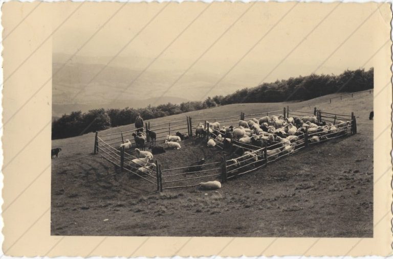 Straník (1938; Fototypia)