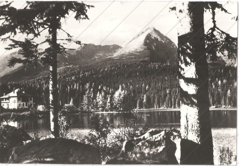 Štrbské pleso (1956) – Tvar