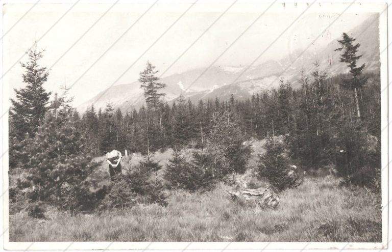 Tatry (neznáma s fašistickou pečiatkou)