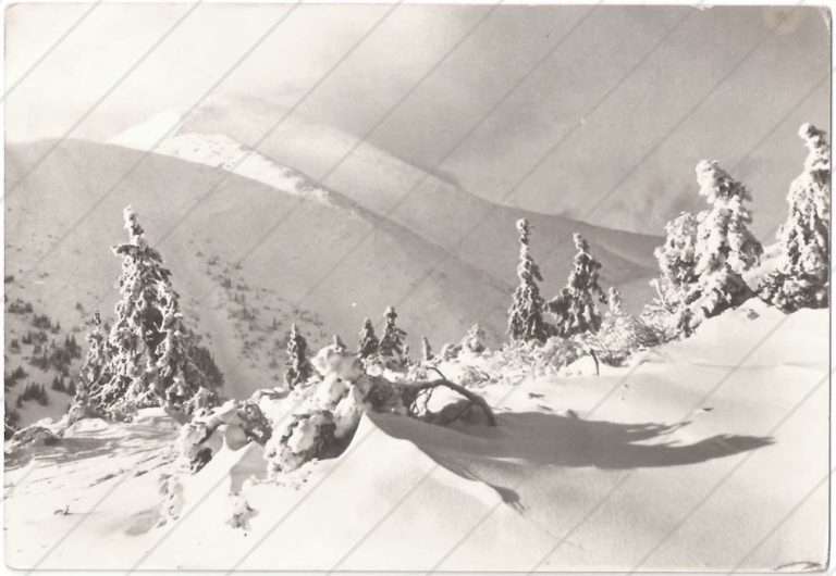 Veľký Kriváň od Chaty pod Chlebom – Tatran – cca 1955