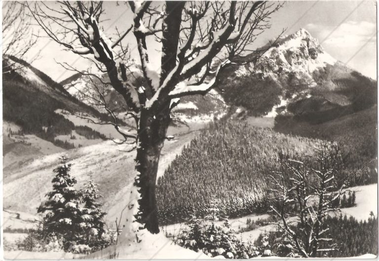 Veľký Rozsutec – Tvar