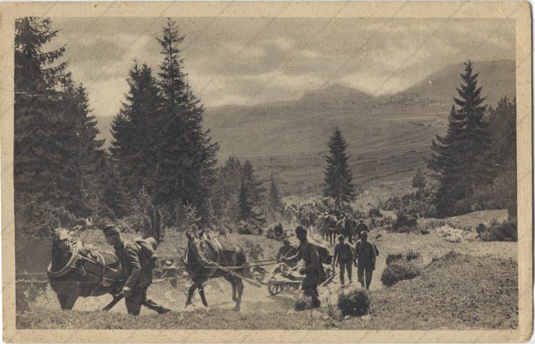 Vojsko (1925)