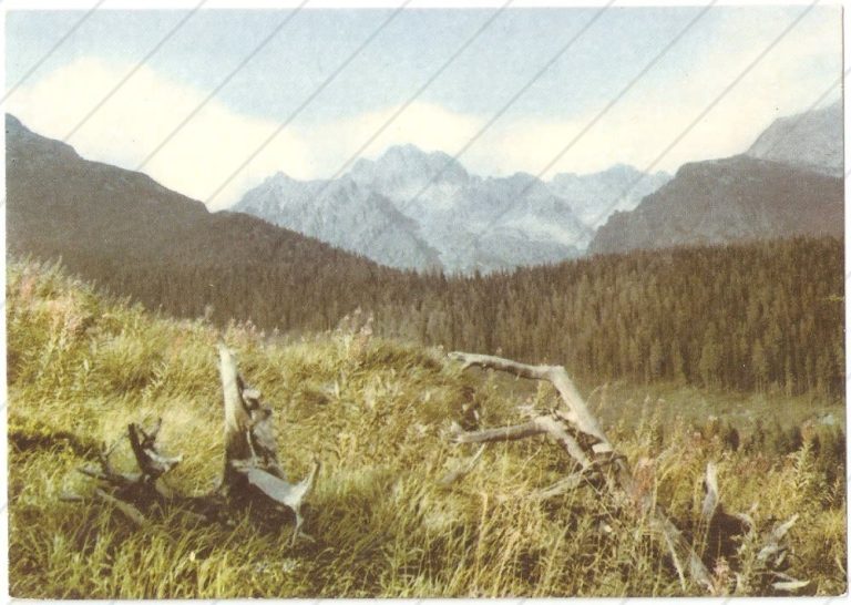 Vysoká, Dračí štít, Zlobivá, Ganek – SVPL – cca 1965