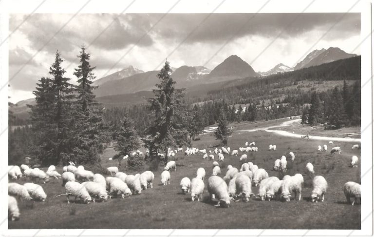 Vysoké Tatry (1938) – Kriváň – Bratislava