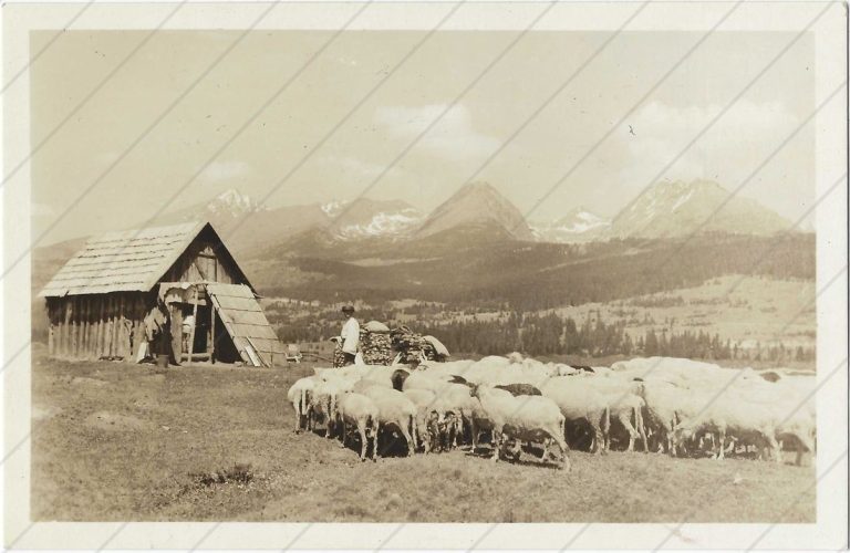 Vysoké Tatry spod Štrbského plesa (cca 1935; Kriváň)