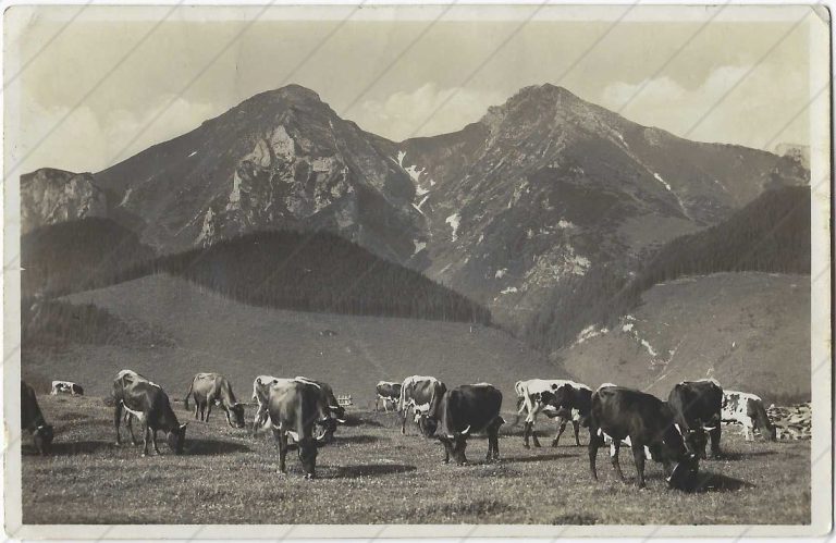 Ždiarske vidle – 1938 – neznámy – a