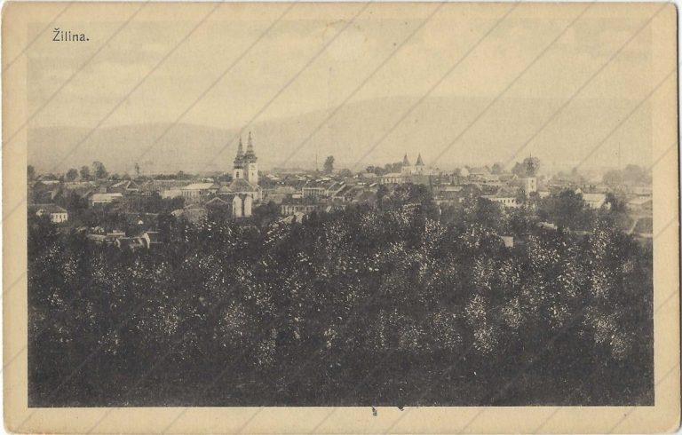 Žilina (1919-21; Vích Alois)