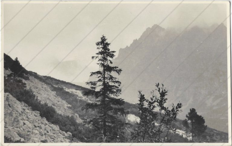 x04 (1937) a (asi cesta zo strbskeho na popradske)-min