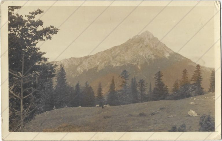 x05 a-min