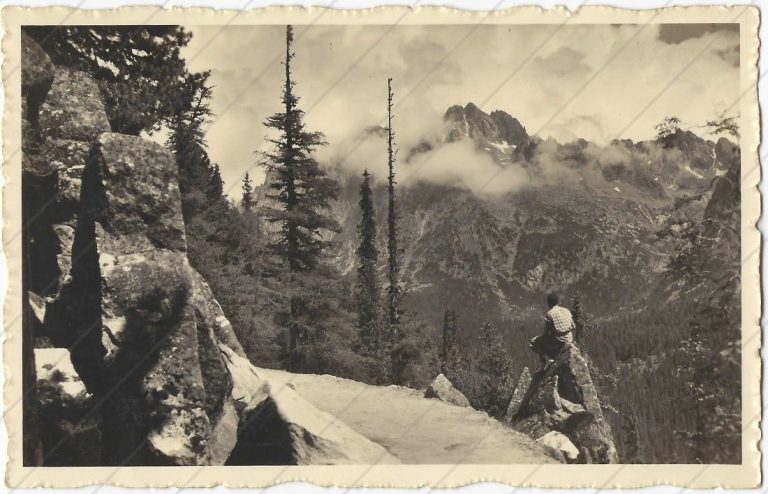 z Malypetrovej cesty (Grafo Čuda Holice; cca 1935)