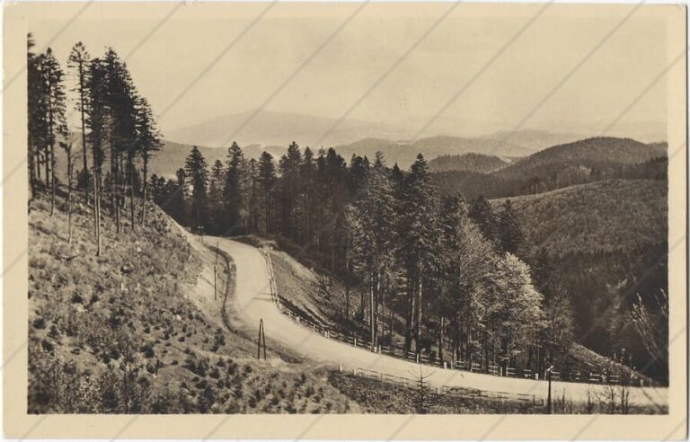 Bumbalka (cca 1947; xxx) a