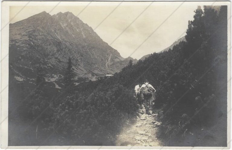 Cestou na Sliezsky dom (1932; Bresel) a